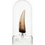 Jurassic Park III Prop Replica 1/1 Spinosaurus Tooth 14 cm
