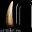 Jurassic Park III Prop Replica 1/1 Spinosaurus Tooth 14 cm