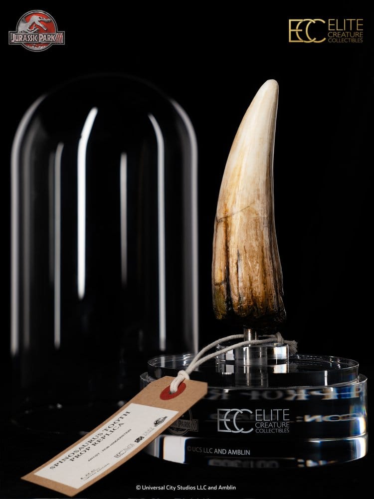 Jurassic Park III Prop Replica 1/1 Spinosaurus Tooth 14 cm