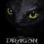 How to Train Your Dragon Life Size Bust Toothless 66 cm