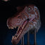 Jurassic Park 3 Replica Bust 1/2 Spinosaurus (Reproduction) 100 cm