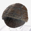 Jurassic Park 1/1 Replica Triceratops Toenail 16 cm
