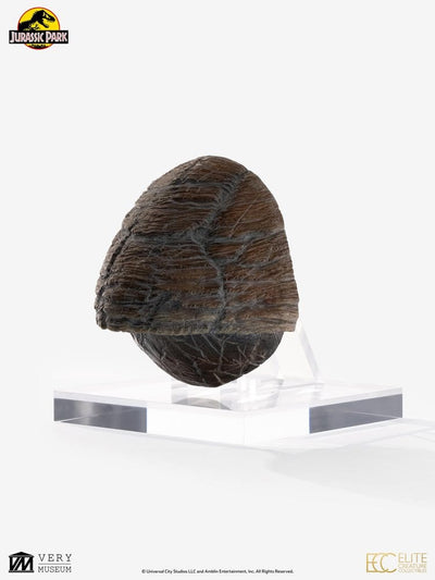 Jurassic Park 1/1 Replica Triceratops Toenail 16 cm