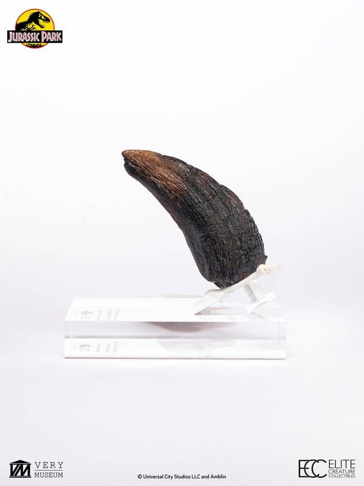 Jurassic Park 1/1 Replica Velociraptor Toenail Type A 11 cm