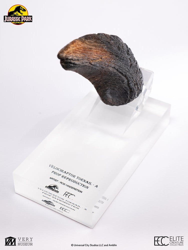 Jurassic Park 1/1 Replica Velociraptor Toenail Type A 11 cm
