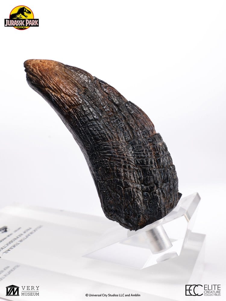 Jurassic Park 1/1 Replica Velociraptor Toenail Type A 11 cm