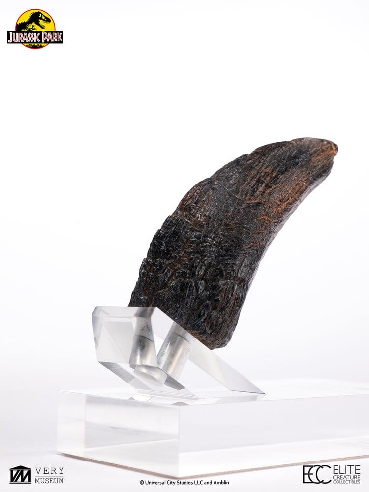 Jurassic Park 1/1 Replica Velociraptor Toenail Type A 11 cm
