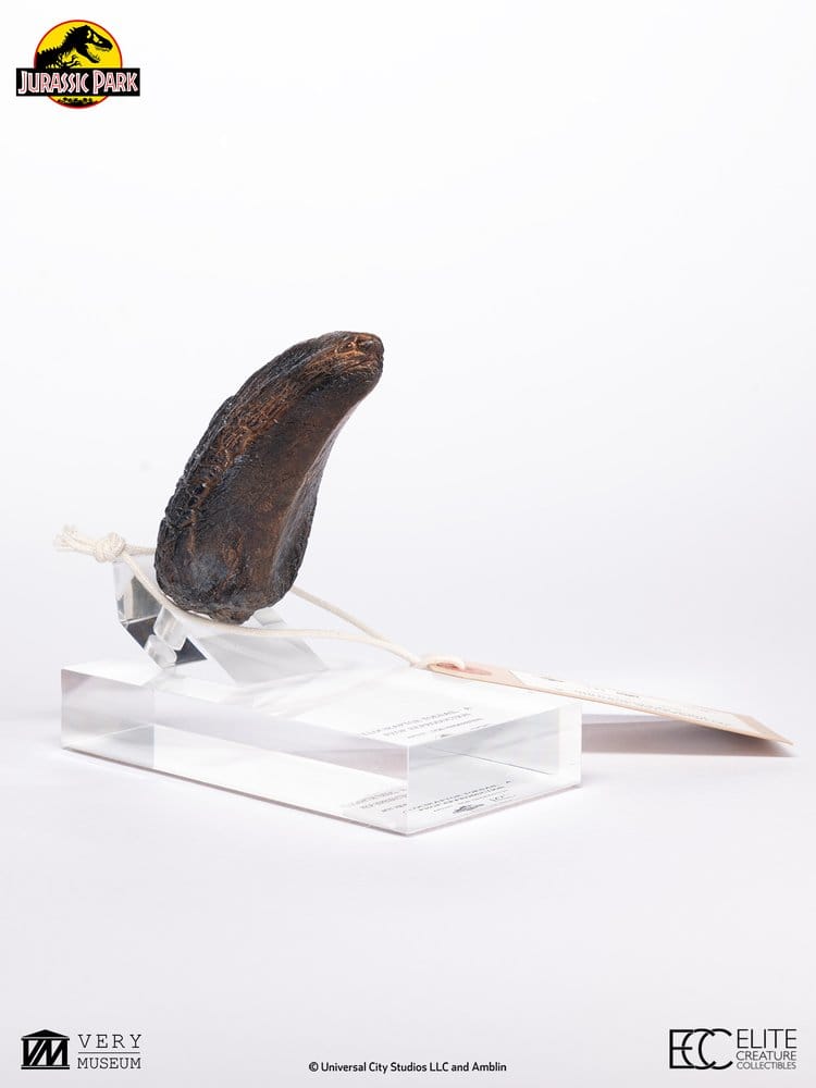 Jurassic Park 1/1 Replica Velociraptor Toenail Type A 11 cm