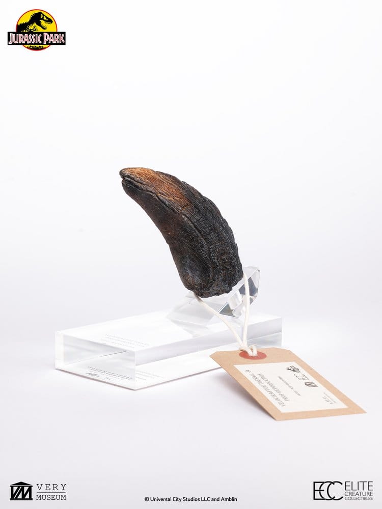 Jurassic Park 1/1 Replica Velociraptor Toenail Type A 11 cm