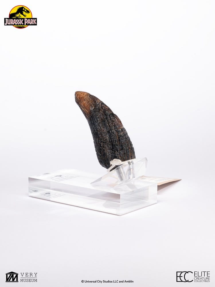Jurassic Park 1/1 Replica Velociraptor Toenail Type A 11 cm