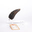 Jurassic Park 1/1 Replica Velociraptor Toenail Type A 11 cm