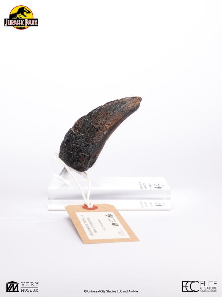 Jurassic Park 1/1 Replica Velociraptor Toenail Type A 11 cm