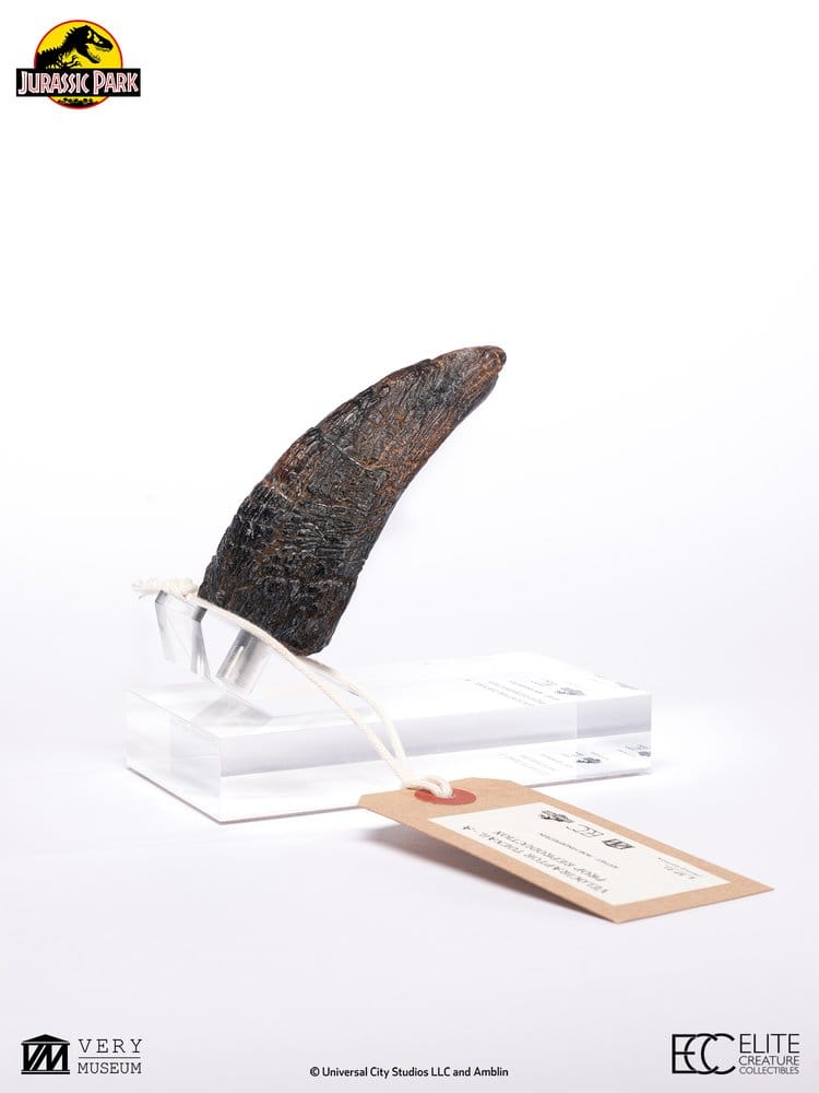 Jurassic Park 1/1 Replica Velociraptor Toenail Type A 11 cm