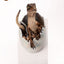 Jurassic Park Replica Bust Velociraptor Hatching Egg 24 cm