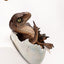 Jurassic Park Replica Bust Velociraptor Hatching Egg 24 cm