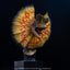 Jurassic Park Maquette 1/3 Dilophosaurus 62 cm