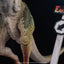 Jurassic Park Maquette 1/3 Dilophosaurus 62 cm