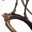 The Lost World: Jurassic Park Statue 2/3 Compsognathus Bronze 28 cm