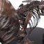 Jurassic Park Statue 1/24 Triceratops Fossil Skeleton Bronze 35 cm