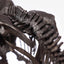 Jurassic Park Statue 1/24 Triceratops Fossil Skeleton Bronze 35 cm