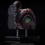 Jurassic Park III Replica Bust Spinosaurus Eye Prop (Reproduction) 39 cm