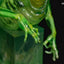 Ghostbusters Maquette 1/7 Slimer 23 cm