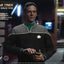 Star Trek: Deep Space Nine Action Figure 1/6 Dr. Julian Bashir 30 cm