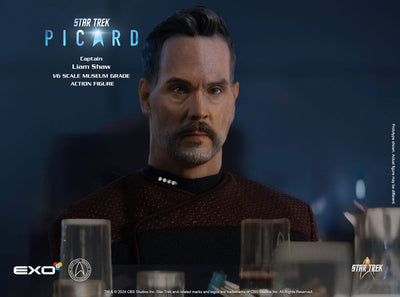Star Trek: Picard Action Figure 1/6 Captain Liam Shaw 30 cm