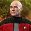 Star Trek: The Next Generation Action Figure 1/6 Captain Jean-Luc Picard 30 cm