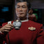 Star Trek VI: The Undiscovered Country Action Figure 1/6 Captain Hikaru Sulu28 cm