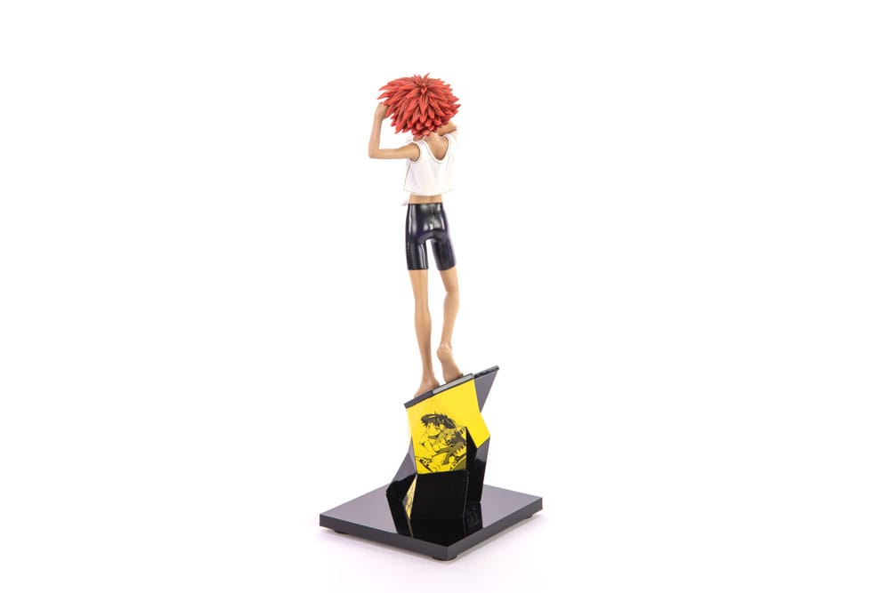 Cowboy Bebop Statue 1/8 Ed &amp; Ein 28 cm