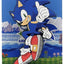 Sonic The Hedgehog FiGGYZ Magnet Collectible OGz Sonic 35th Anniversary 9 cm