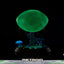 Metroid Prime PVC Figure Metroid (Standard) (Glow in the Dark) 21 cm