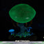 Metroid Prime PVC Figure Metroid (Standard) (Glow in the Dark) 21 cm