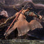 Sekiro: Shadows Die Twice Statue Sekiro 32 cm