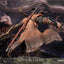 Sekiro: Shadows Die Twice Statue Sekiro 32 cm
