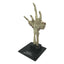 Universal Monsters Mini Replica Fossilized Creature Hand 18 cm