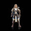 Mythic Legions Horror of Einsamall Actionfigur Commander Igraine