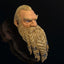 Mythic Legions: Rising Sons Action Figure Accessorys Dwarf Head