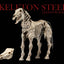 Mythic Legions: Reinforcement 3 Action Figure Skeleton Steed Legion Builder