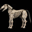 Mythic Legions: Reinforcement 3 Action Figure Skeleton Steed Legion Builder