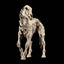 Mythic Legions: Reinforcement 3 Action Figure Skeleton Steed Legion Builder