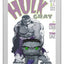 Marvel POP! Comic Covers Vinyl Figure Gray Hulk 9 cm