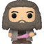 Harry Potter Bitty POP! Vinyl Figure 2-Pack Hagrid & Dobby 2 cm