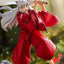 Inuyasha Tenitol PVC Statue Inuyasha 18 cm