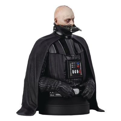 Star Wars Episode VI Bust 1/6 Darth Vader (unhelmeted) 15 cm