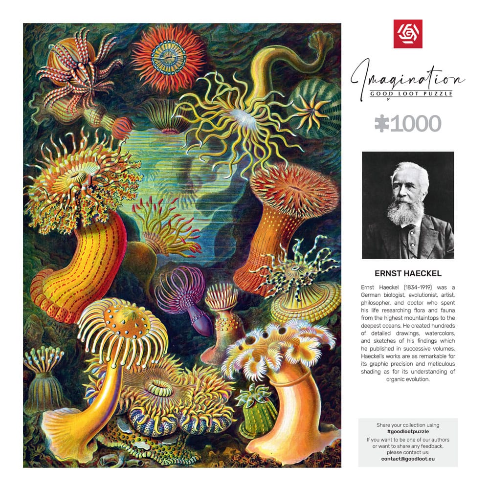 Ernst Haeckel Imagination Puzzle Sea Anemones/Stworzenia morskie (1000 pieces)