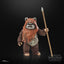 Star Wars Episode VI 40th Anniversary Black Series Action Figure Wicket 15 cm