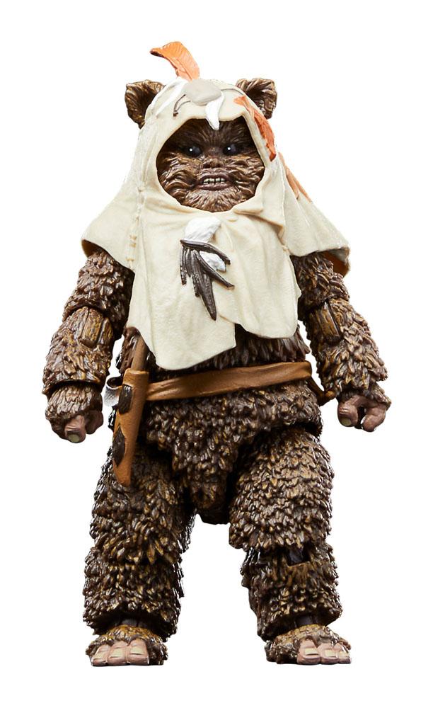 Star Wars Episode VI 40th Anniversary Black Series Action Figure Paploo 15 cm