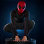 Spider-Man: Homecoming Electronic Expressive Mask Spider-Man